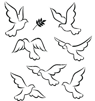 Dove Outline Drawing at GetDrawings | Free download