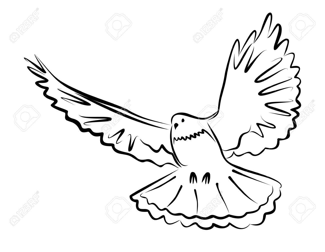 Dove Outline Drawing at GetDrawings | Free download