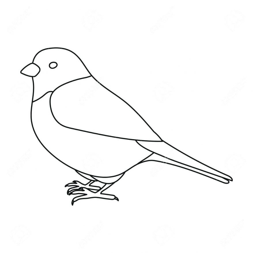 878x878 Sparrow Icon In Outline Style Isolated On White Background Bird