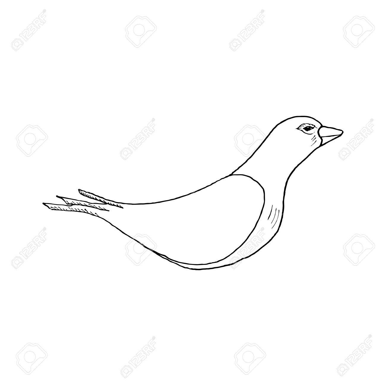 1300x1300 Tattoos Of Doves Bing Images. Dove Drawing Step 3 From Cgatticca