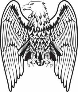 254x300 Drawn Wings Eagle Wing