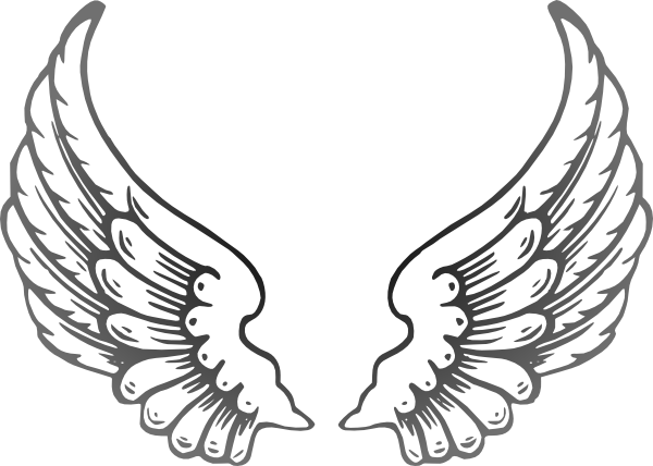 600x428 Multi Gray Wings Clip Art