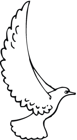 263x480 White Winged Dove Coloring Page Free Printable Coloring Pages