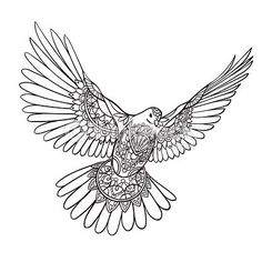 236x236 How To Draw A Realistic Dove