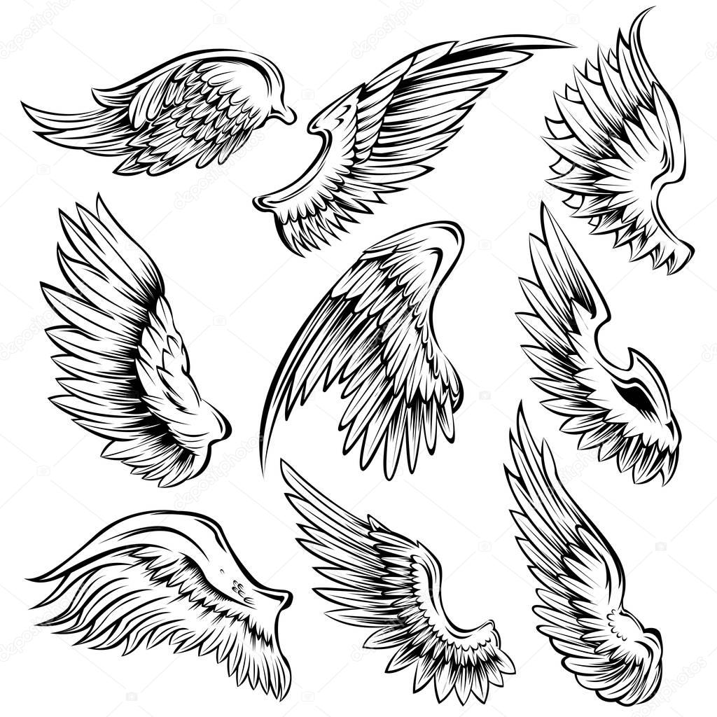 1024x1024 Bird Wings Black White Set Stock Vector Mogil
