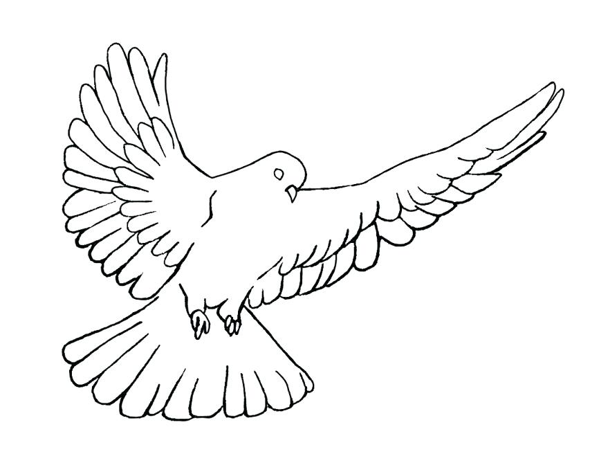 866x669 Holy Spirit Dove Coloring Page Printable Pictures Of White Doves