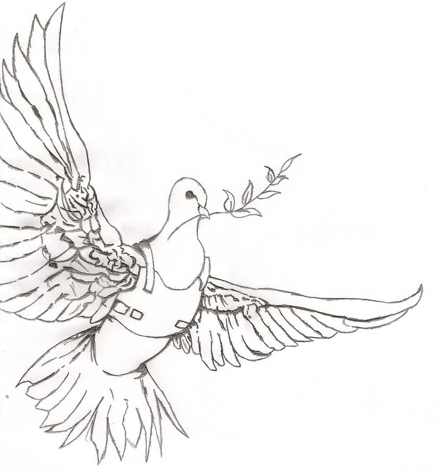 864x924 Peace Dove Drawing