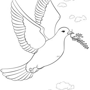 300x300 Coloring Pages Olive Tree Best Of Doves
