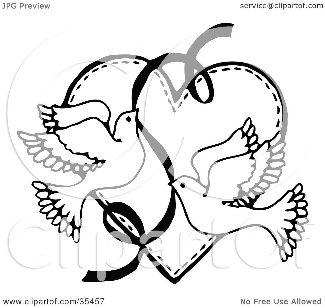 1080x1024 Two Flying Doves Drawing