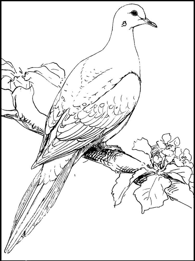 750x1000 Dove Coloring Pages. Download And Print Dove Coloring Pages