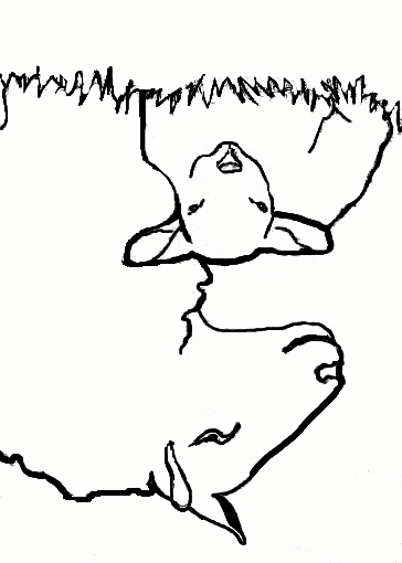 364x510 Explore Soft Pastels Feb. 2005 Composition 1