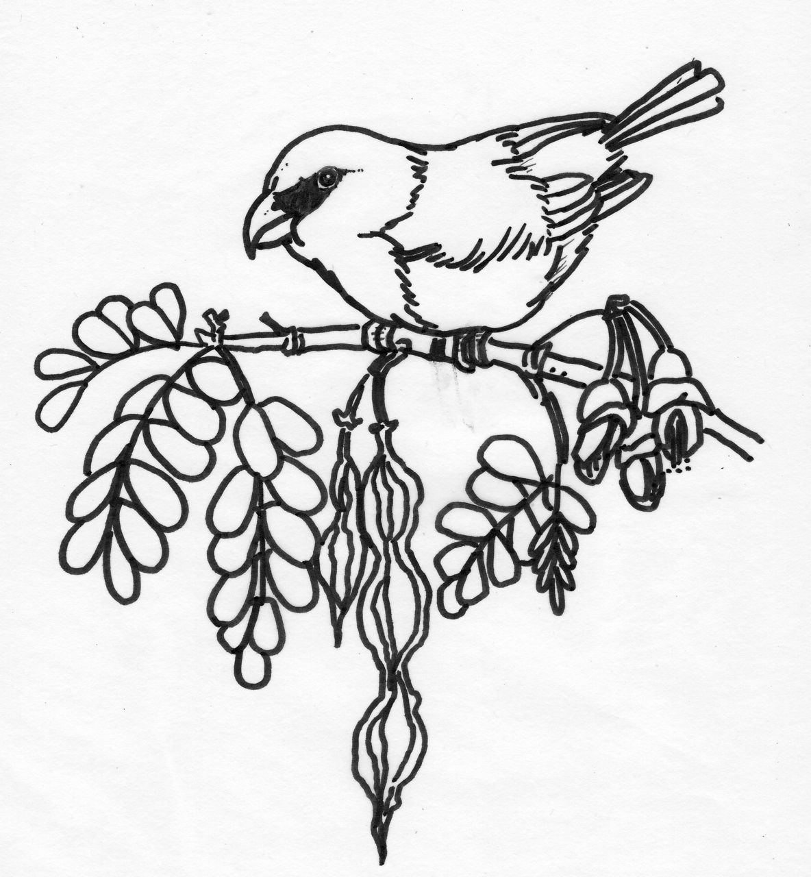 1184x1280 Nature Drawings For Kids Coloring Page For Kids Kids Coloring
