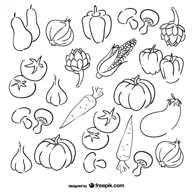 626x626 Vegetables Sketch Set Vector Free Download