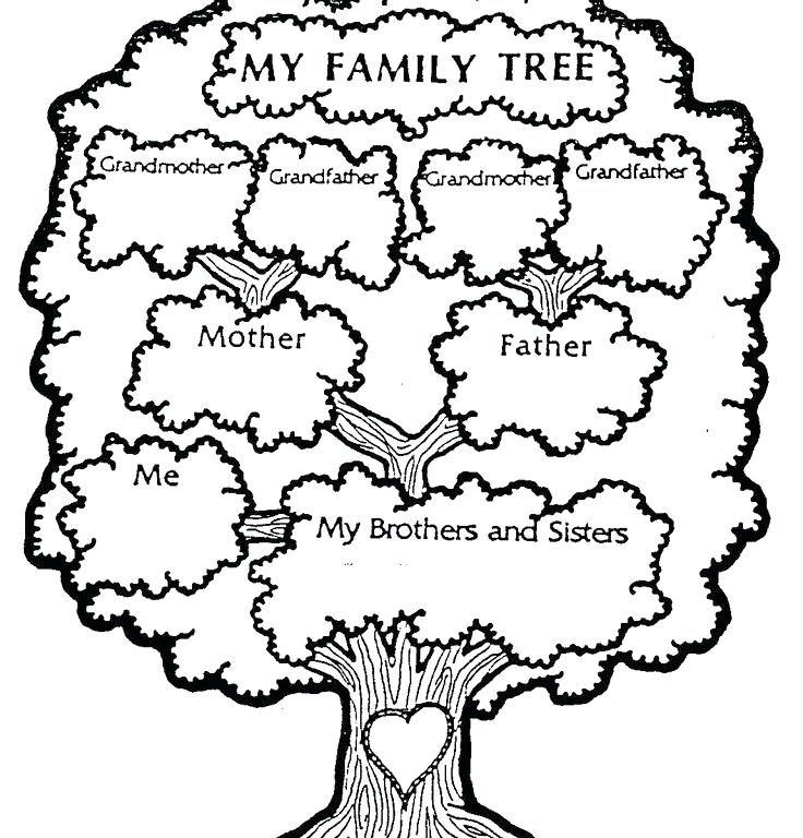 736x768 Family Tree Coloring Pages Printable In Beatiful Draw Paint Free