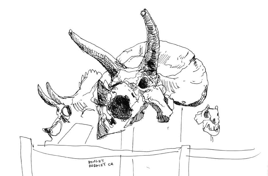 935x614 Berkeley Dinosaur Tri Tops.jpg