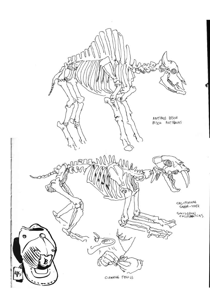 862x1228 La Brea Skeletons 1.jpg
