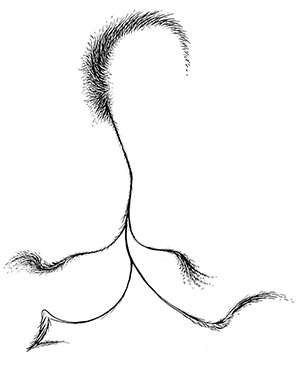 300x365 Contact The Art Of Dr. Seuss