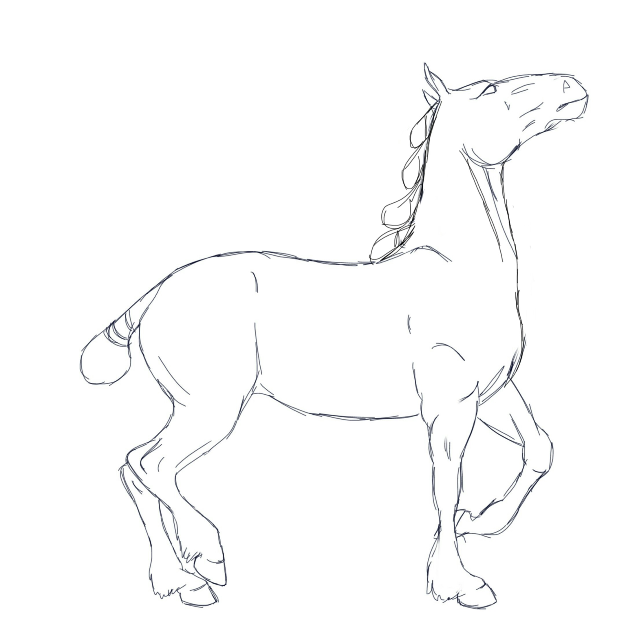 2200x2200 Draft Horse Ragnar