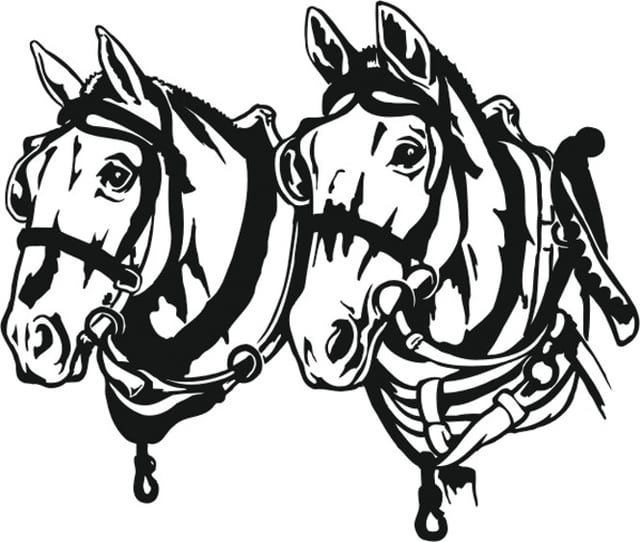 640x542 Draft Horse Show Gone After 39 Years