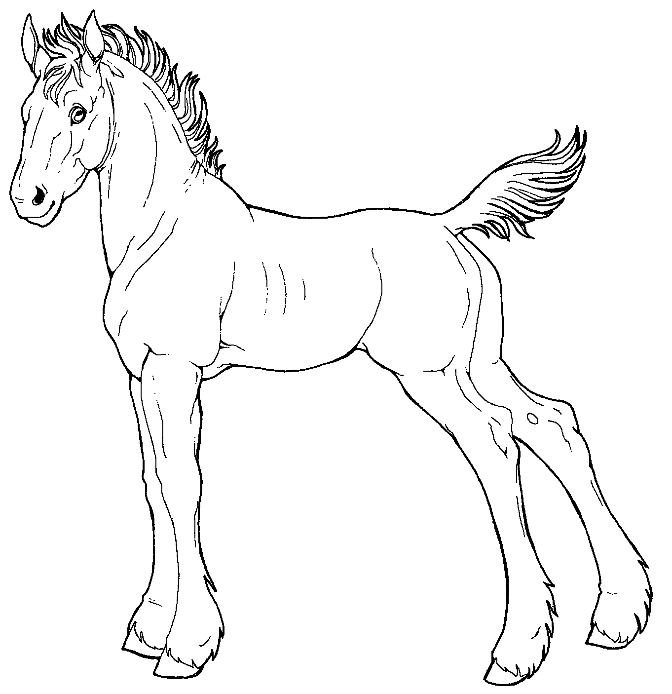 1362x1406 Free Line Art Draft Foal By Applehunter