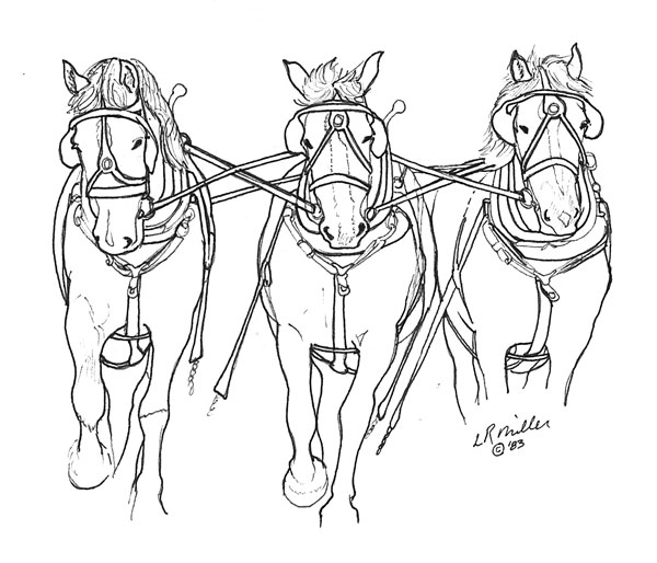 600x514 Grooming Work Horses Small Farmer's Journal