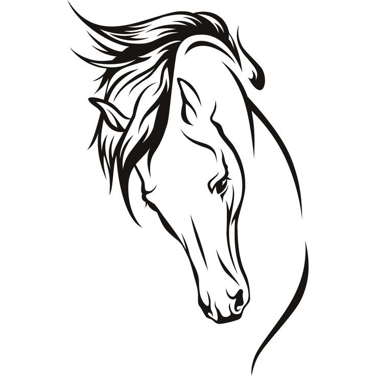 736x736 38 Best Horses Images On Horses, Silhouette And Horse Logo