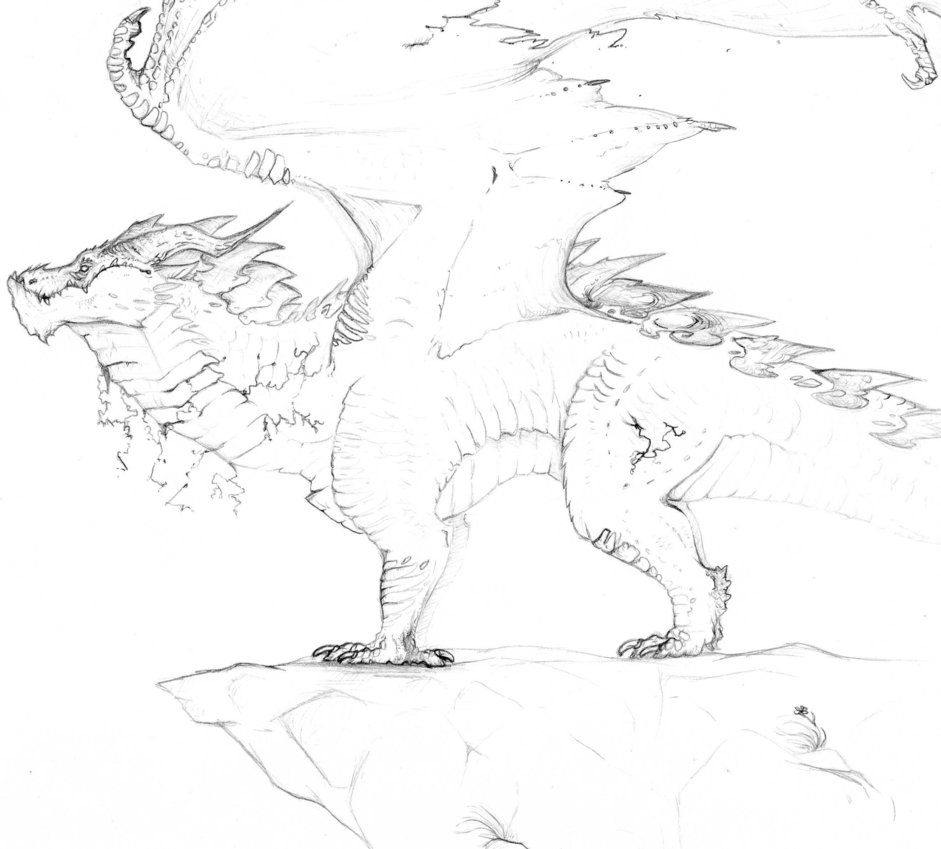 941x849 Thorignir Drawing By Shibainudruid