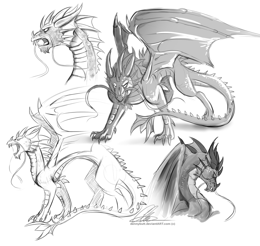 Dragon Anatomy Drawing at GetDrawings | Free download