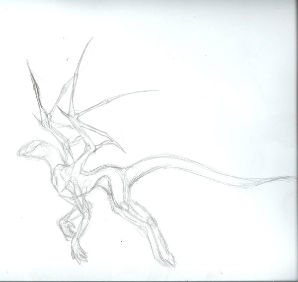 600x568 Dragon Anatomy By Drakin09