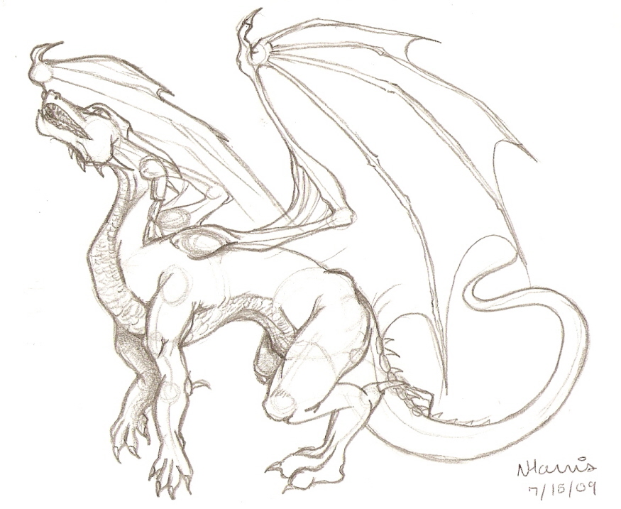 875x717 Western Dragon