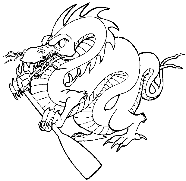 617x600 Daily Dragon 04 Dragon Boating Ken Rolston