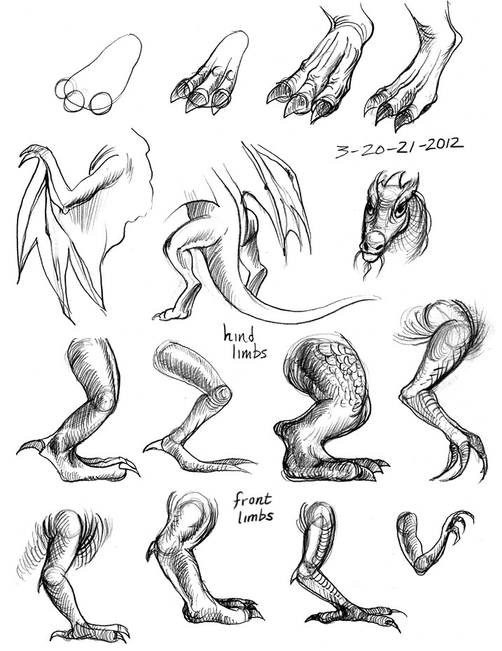 717x930 Dragon Legs, Wings, Arms, Body Parts How To Draw Mangaanime