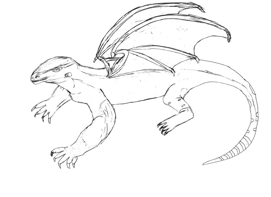 900x654 Komodo Dragon With Bat Wings By Matt Bulls Stories