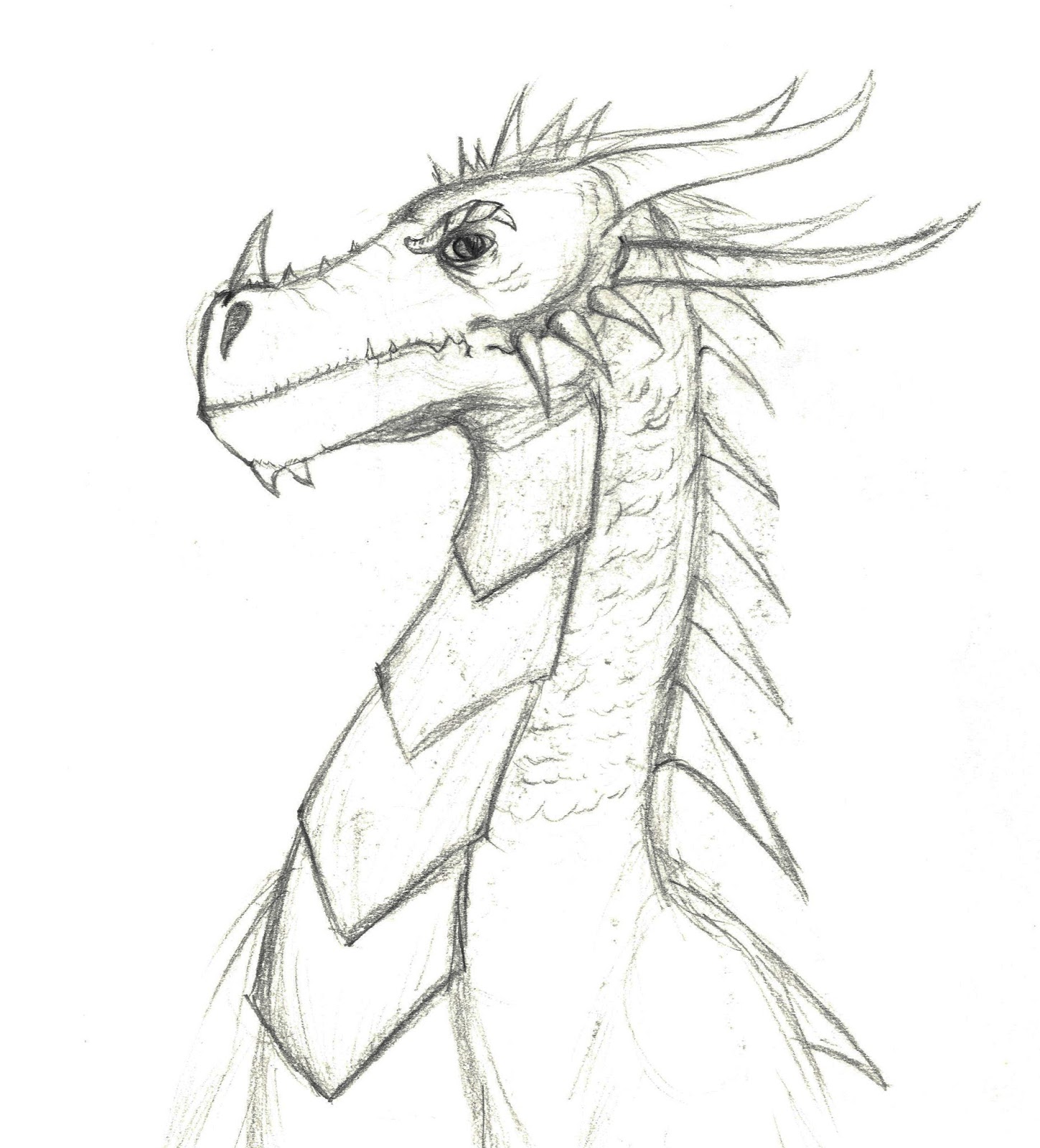 Dragon Body Drawing at GetDrawings | Free download