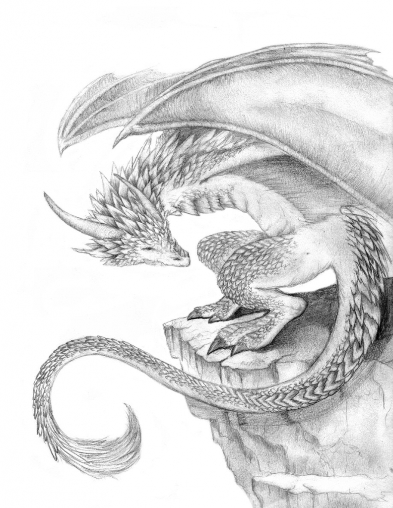 792x1024 Dragon Sketches In Pencil Images About Dragon Sketches