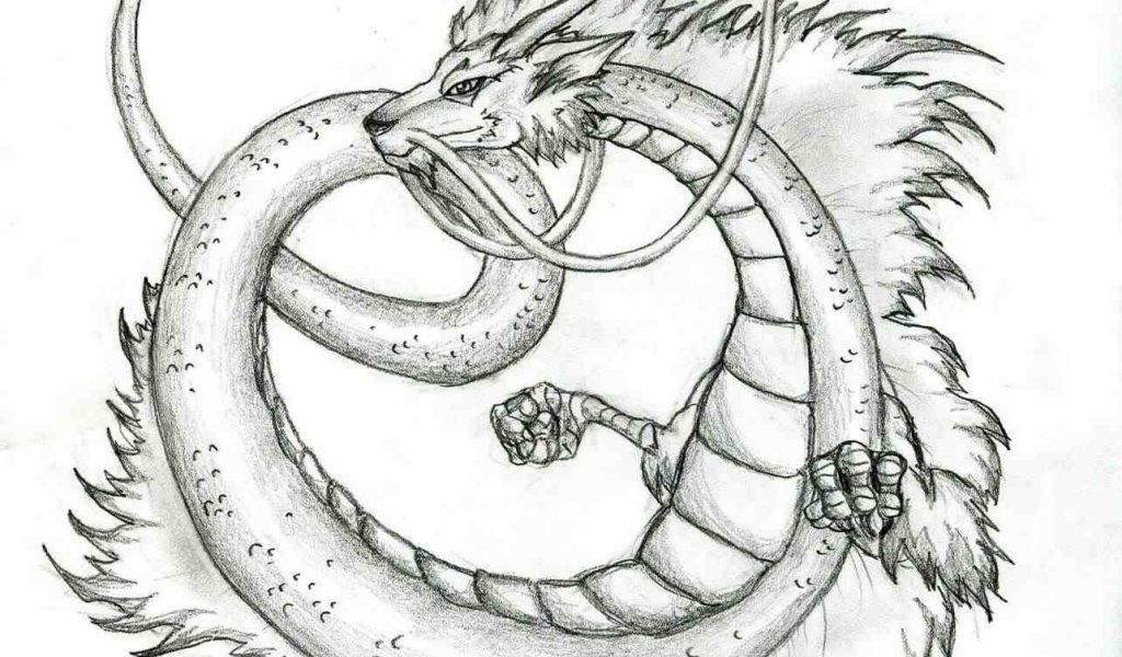 1024x600 The Images Collection Of Dragon Sketchus By Katie Pfeilschiefter