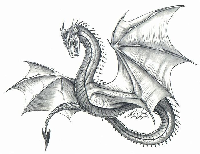 700x540 Dragon Drawings In Pencil Dragons Drawings Laura Campbell
