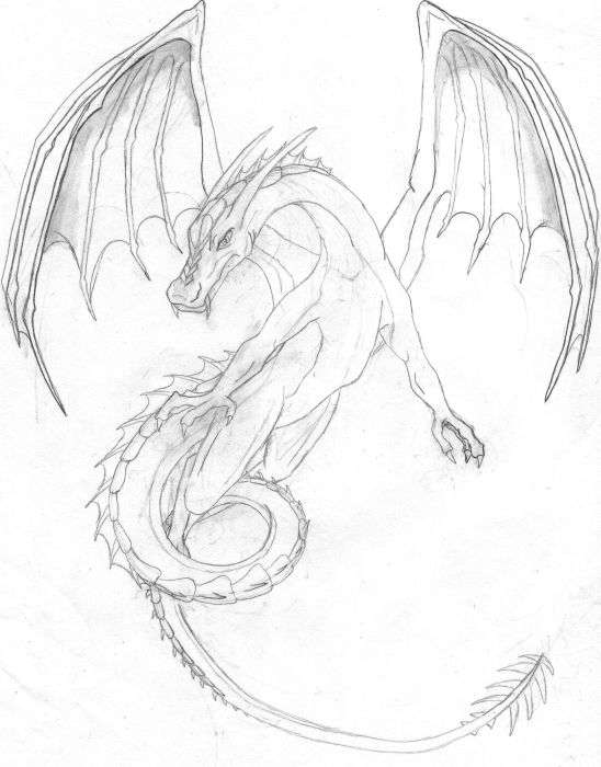 548x700 Awesome Drawings Of Dragons Drawing Dragons, Step By Step