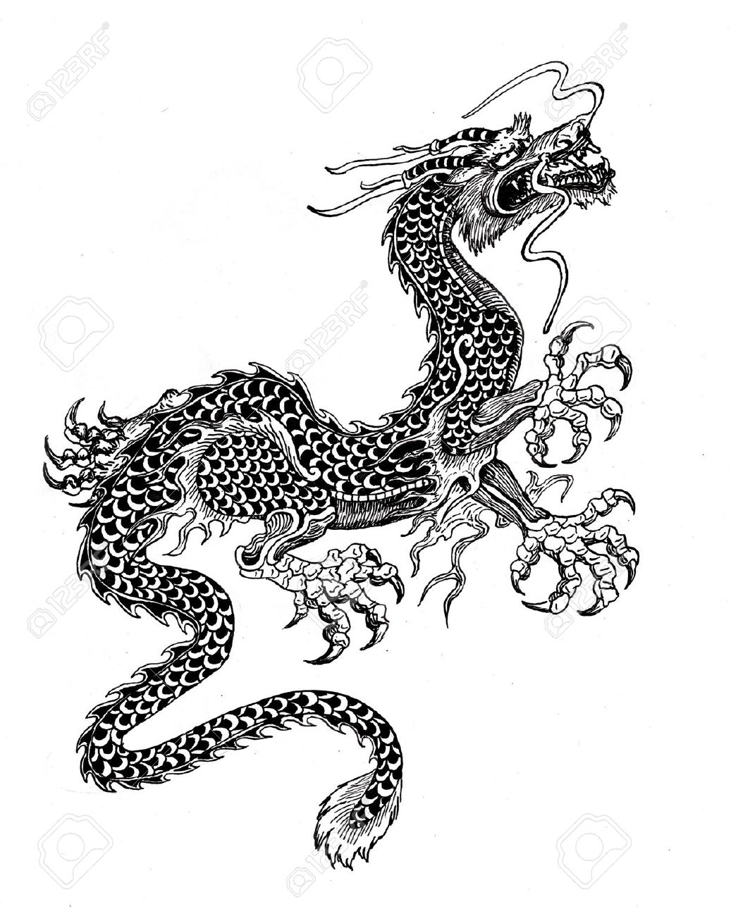 1037x1300 Drawn Chinese Dragon Black And White