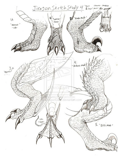 387x512 How To Draw Dragon Claws Jiragon Arm And Claw Sketches Popular
