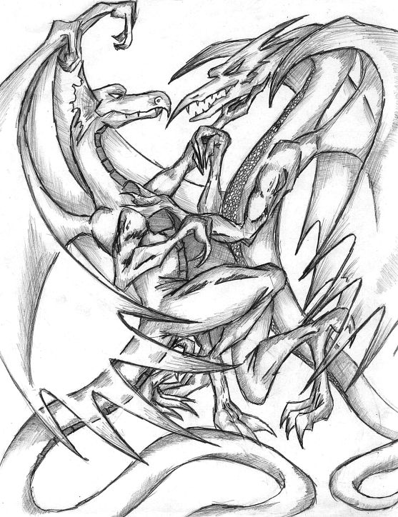 557x724 Dragons By Spoofe