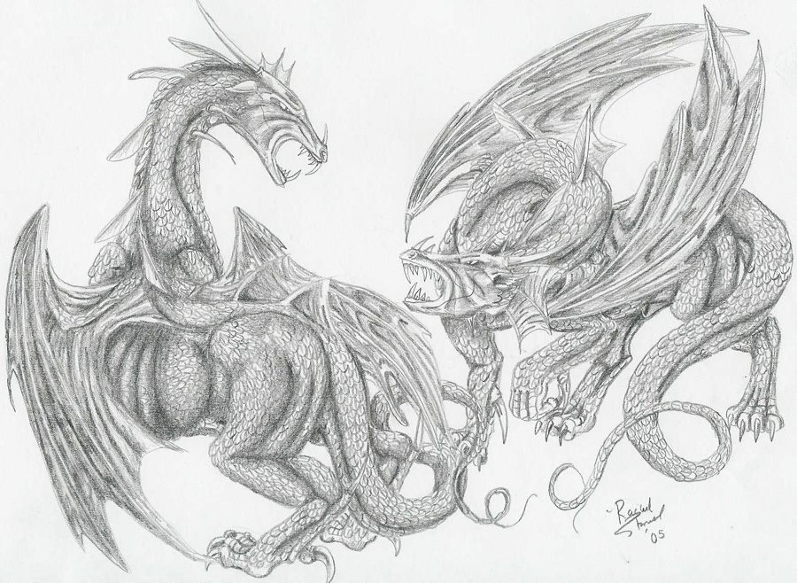 900x658 Drawn Dragon Dragon Fighting