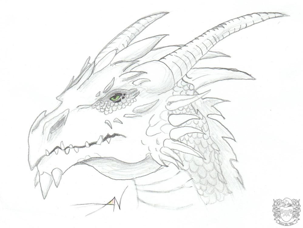 999x753 During The Book Launch For Raising Dragons Graphic Novel, I Met