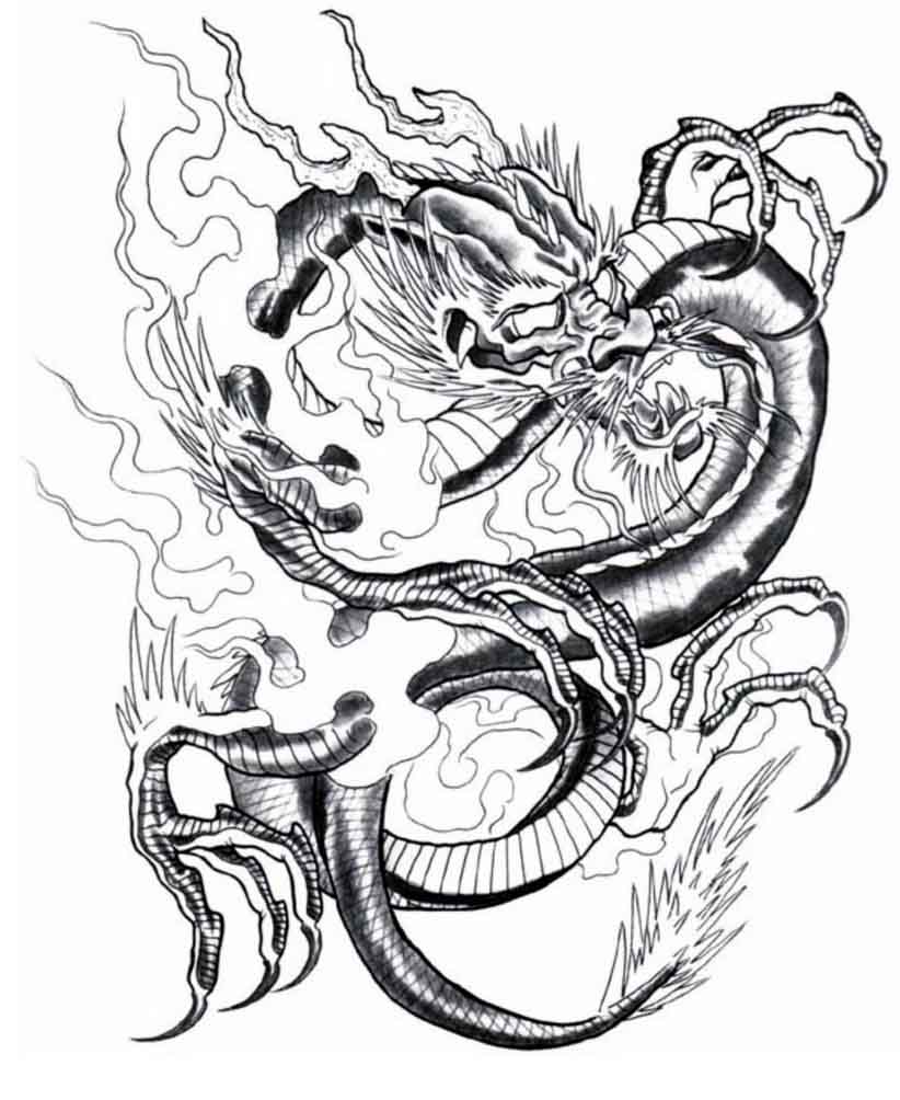 822x1004 Dragon New 96 Dragon Tattoo Design Art Flash Pictures Images