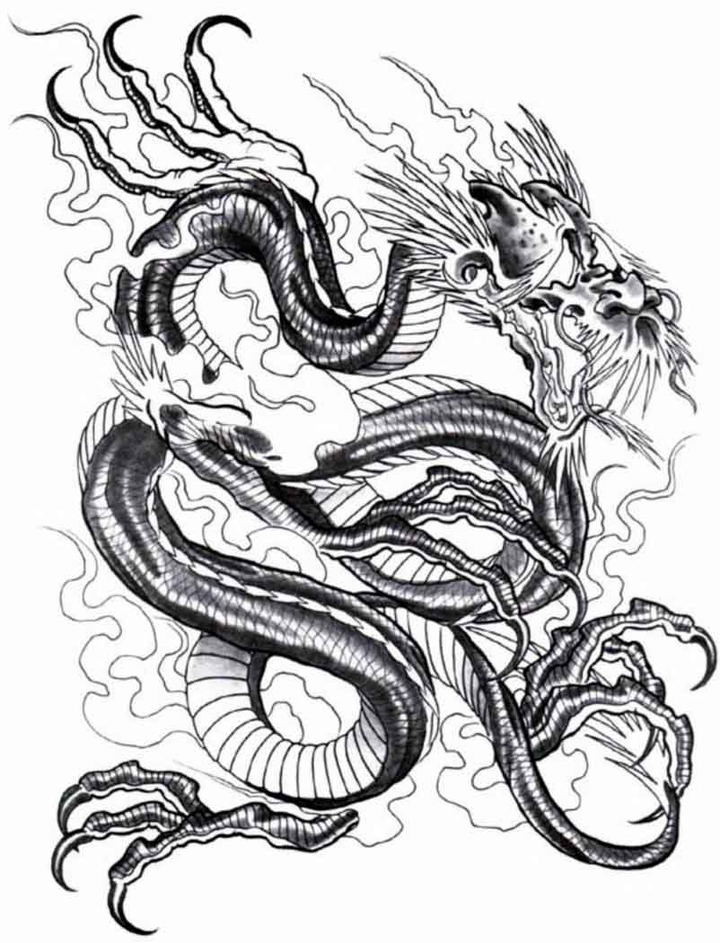 802x1050 Dragon Tattoos And Designs Page 144
