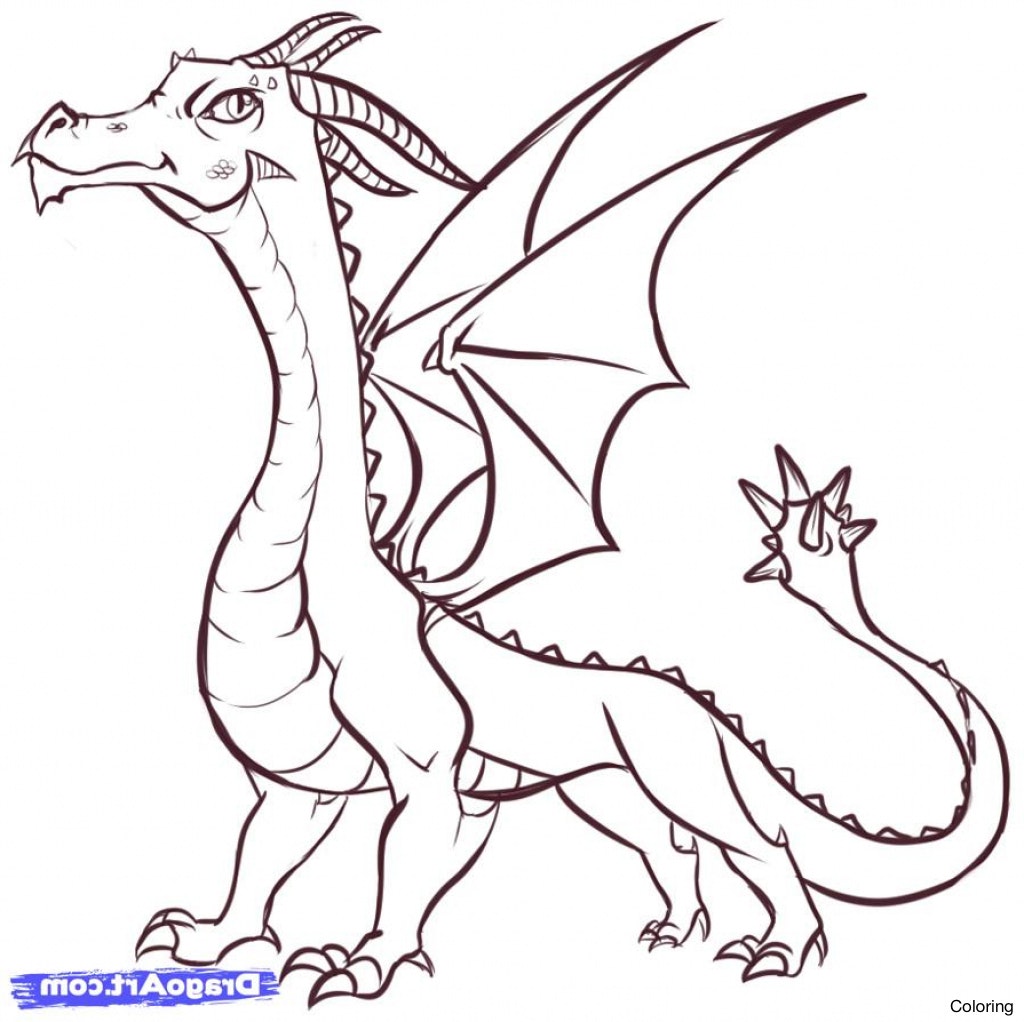 1024x1022 Simple Drawing Of Dragon Sketch Dragons Coloring Stepstep Draw