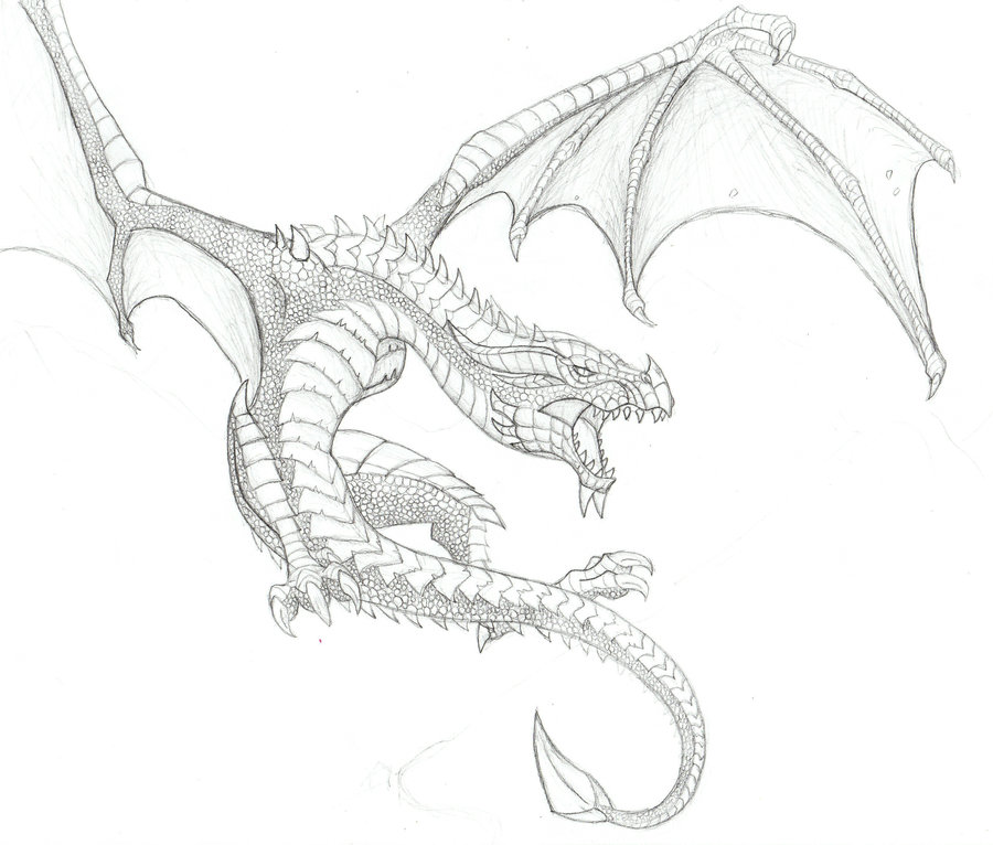 900x766 Skyrim Dragon By Spiritsl