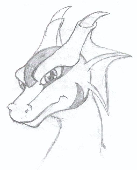 529x655 Dragon Head Thing By Whimsy Floof