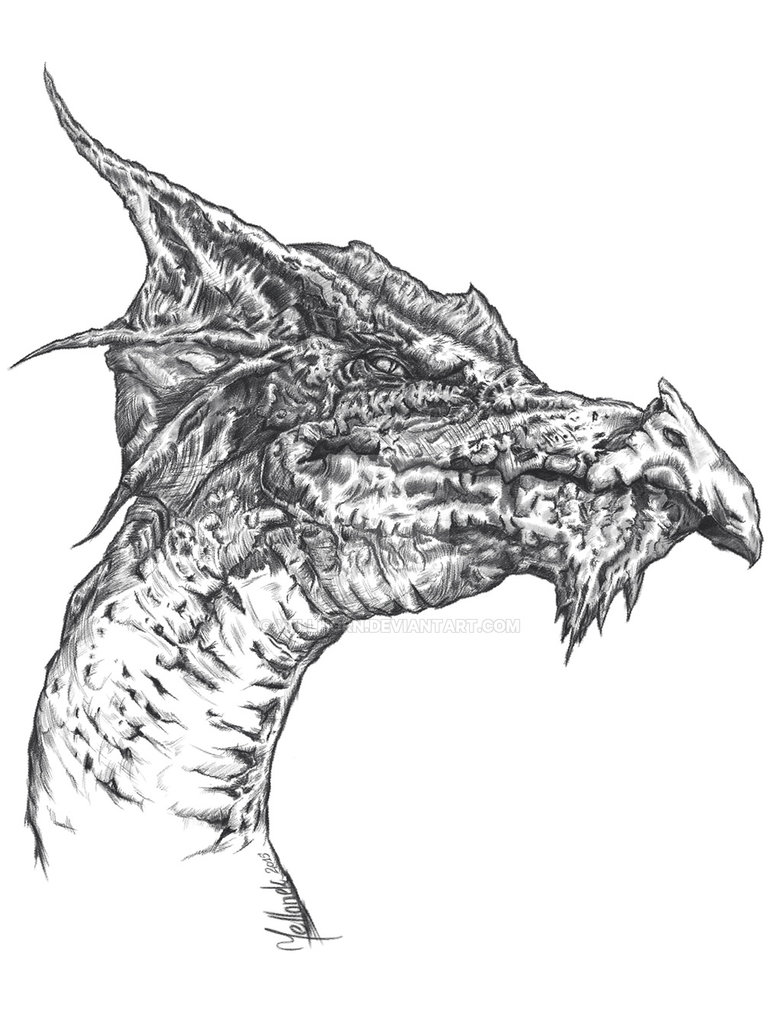 781x1023 Dragon Head By Willhorn