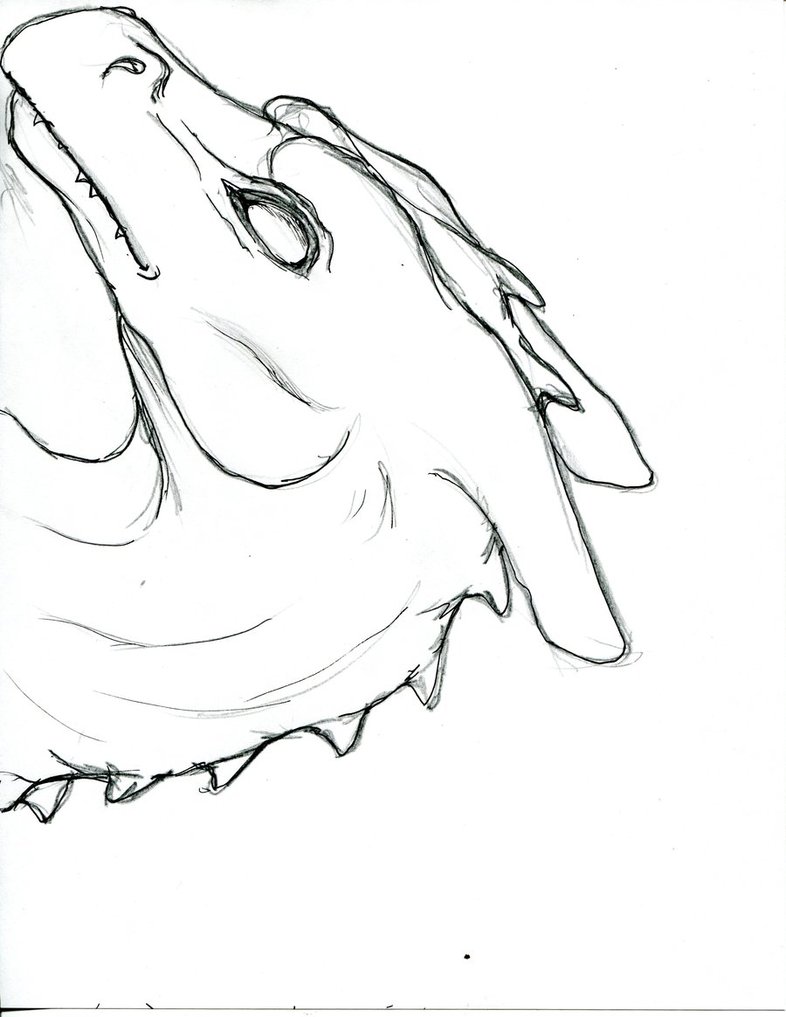 786x1017 Pernese Dragon Head By Dragonkat34